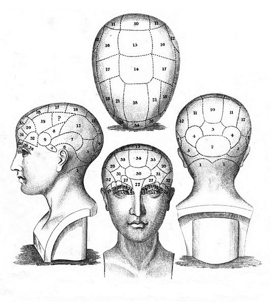 Phrenological Bust, 1824