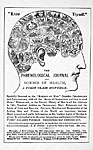Phrenological Bust, 1881 [thumbnail]