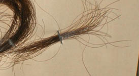 locks of Virginia and Edgar Allan Poe's Hair in frame