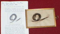 locks of Virginia and Edgar Allan Poe's Hair in frame