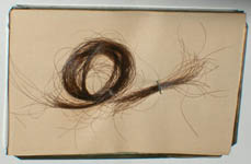 locks of Virginia and Edgar Allan Poe's Hair in frame