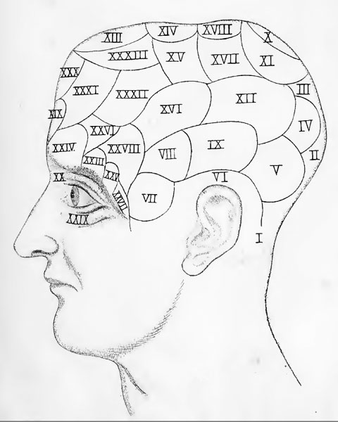 Phrenological Bust, 1824