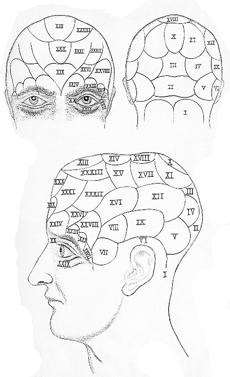 Phrenological Bust, 1824